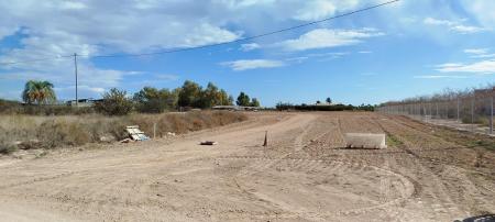España / Bajo Vinalopó / Elche / Valverde Bajo / Venta / Parcela Rustica 